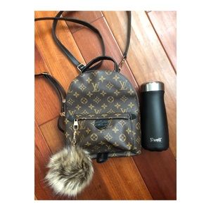 LOUIS VUITTON PALM SPRINGS BACKBACK